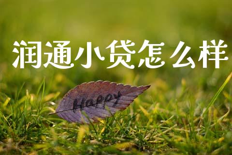 润通小贷怎么样_债券投资_第1张_财经时评_基金分析_期货交易_金融机构_外汇汇率_债券投资 润通小贷怎么样_https://wap.hpmsj.cn_债券投资_第1张