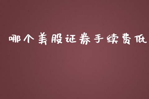 哪个美股证券手续费低_https://wap.hpmsj.cn_财经时评_第1张