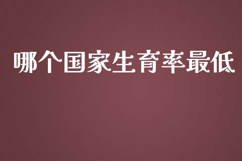 哪个国家生育率最低_基金分析_第1张_财经时评_基金分析_期货交易_金融机构_外汇汇率_债券投资 哪个国家生育率最低_https://wap.hpmsj.cn_基金分析_第1张