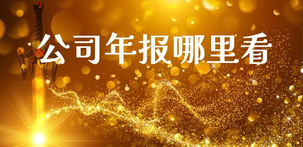 公司年报哪里看_https://wap.hpmsj.cn_财经时评_第1张