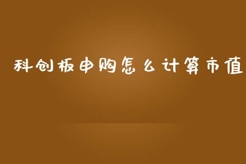 科创板申购怎么计算市值_https://wap.hpmsj.cn_基金分析_第1张