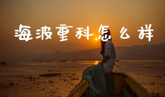 海波重科怎么样_https://wap.hpmsj.cn_债券投资_第1张