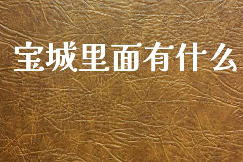 宝城里面有什么_https://wap.hpmsj.cn_基金分析_第1张