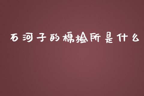 石河子的棉检所是什么_https://wap.hpmsj.cn_外汇汇率_第1张