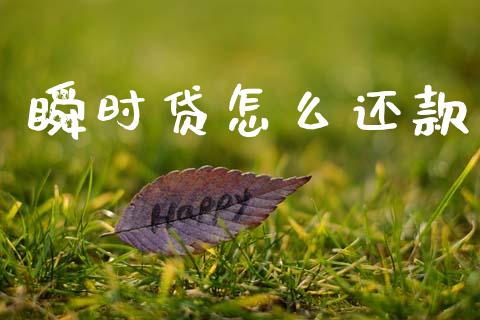 瞬时贷怎么还款_https://wap.hpmsj.cn_财经时评_第1张