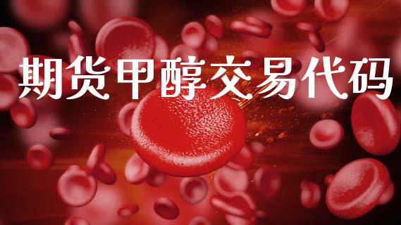 期货甲醇交易代码_https://wap.hpmsj.cn_期货交易_第1张
