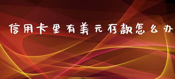 信用卡里有美元存款怎么办_https://wap.hpmsj.cn_外汇汇率_第1张