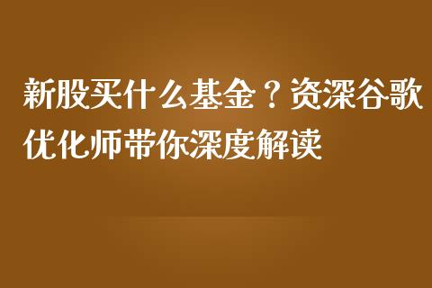 新股买什么基金？资深谷歌优化师带你深度解读_https://wap.hpmsj.cn_外汇汇率_第1张