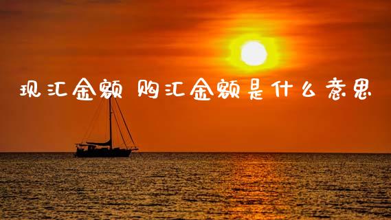 现汇金额 购汇金额是什么意思_https://wap.hpmsj.cn_债券投资_第1张