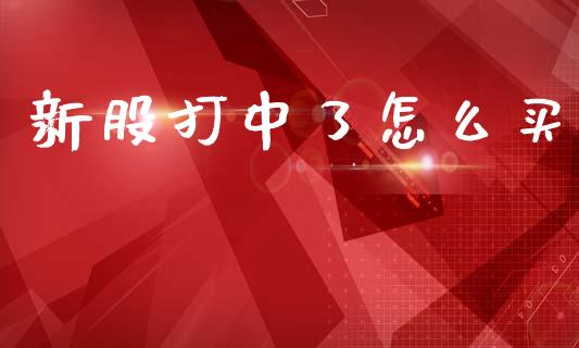 新股打中了怎么买_https://wap.hpmsj.cn_外汇汇率_第1张