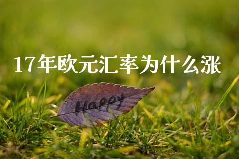 17年欧元汇率为什么涨_https://wap.hpmsj.cn_债券投资_第1张