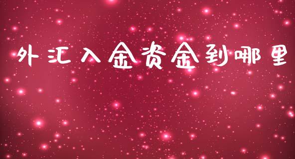外汇入金资金到哪里_https://wap.hpmsj.cn_债券投资_第1张