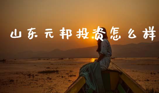 山东元邦投资怎么样_https://wap.hpmsj.cn_金融机构_第1张