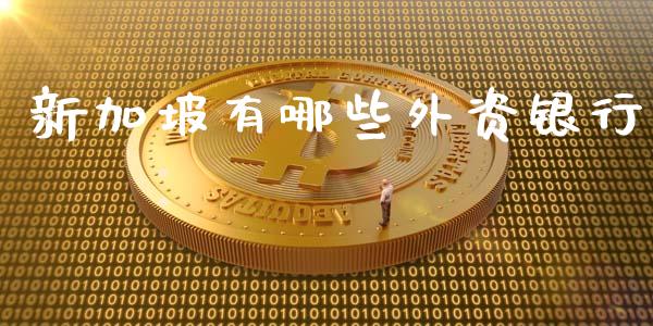 新加坡有哪些外资银行_金融机构_第1张_财经时评_基金分析_期货交易_金融机构_外汇汇率_债券投资 新加坡有哪些外资银行_https://wap.hpmsj.cn_金融机构_第1张