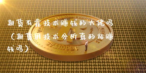 期货有靠技术赚钱的大佬吗（期货用技术分析真的能赚钱吗）_https://wap.hpmsj.cn_基金分析_第1张