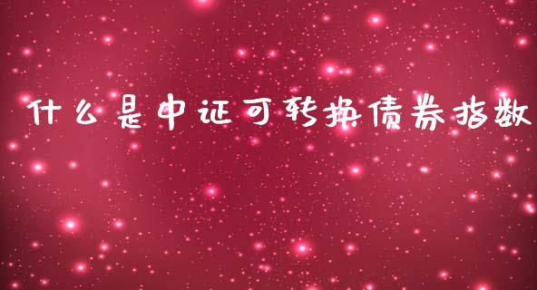 什么是中证可转换债券指数_https://wap.hpmsj.cn_基金分析_第1张