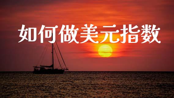 如何做美元指数_https://wap.hpmsj.cn_外汇汇率_第1张