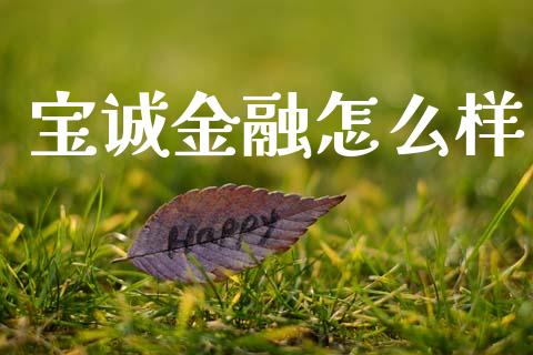 宝诚金融怎么样_https://wap.hpmsj.cn_期货交易_第1张