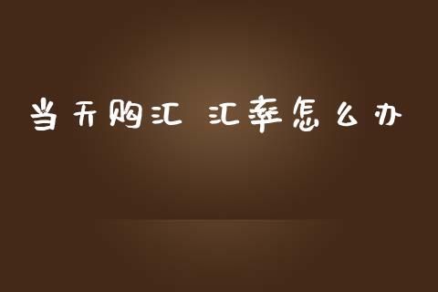 当天购汇 汇率怎么办_https://wap.hpmsj.cn_外汇汇率_第1张