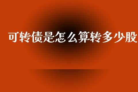 可转债是怎么算转多少股_https://wap.hpmsj.cn_债券投资_第1张