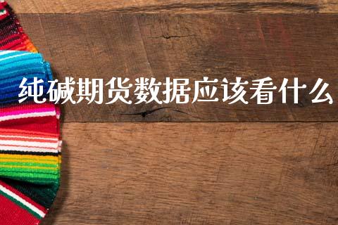 纯碱期货数据应该看什么_https://wap.hpmsj.cn_期货交易_第1张