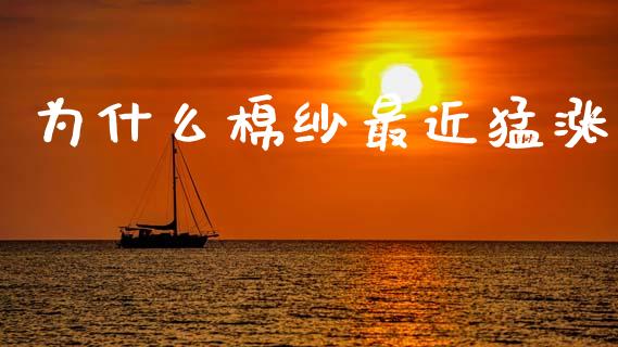 为什么棉纱最近猛涨_https://wap.hpmsj.cn_外汇汇率_第1张