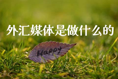 外汇媒体是做什么的_https://wap.hpmsj.cn_金融机构_第1张