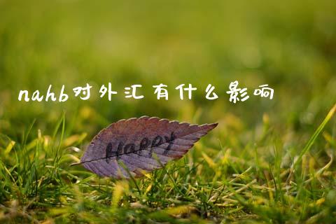 nahb对外汇有什么影响_https://wap.hpmsj.cn_金融机构_第1张