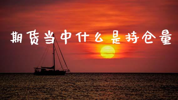 期货当中什么是持仓量_https://wap.hpmsj.cn_财经时评_第1张