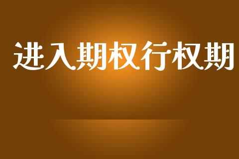 进入期权行权期_https://wap.hpmsj.cn_基金分析_第1张