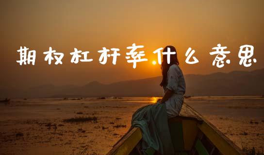 期权杠杆率什么意思_https://wap.hpmsj.cn_金融机构_第1张