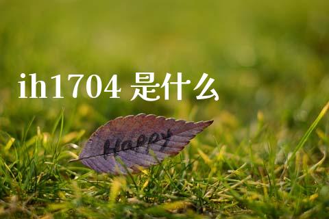 ih1704 是什么_https://wap.hpmsj.cn_外汇汇率_第1张