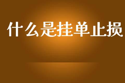 什么是挂单止损_https://wap.hpmsj.cn_债券投资_第1张