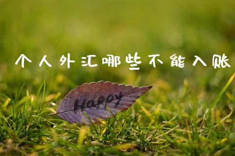 个人外汇哪些不能入账_https://wap.hpmsj.cn_债券投资_第1张