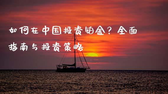 如何在中国投资铂金？全面指南与投资策略_https://wap.hpmsj.cn_金融机构_第1张
