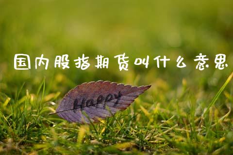 国内股指期货叫什么意思_https://wap.hpmsj.cn_债券投资_第1张
