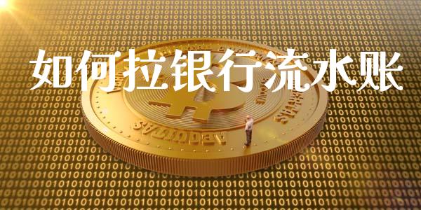 如何拉银行流水账_https://wap.hpmsj.cn_金融机构_第1张