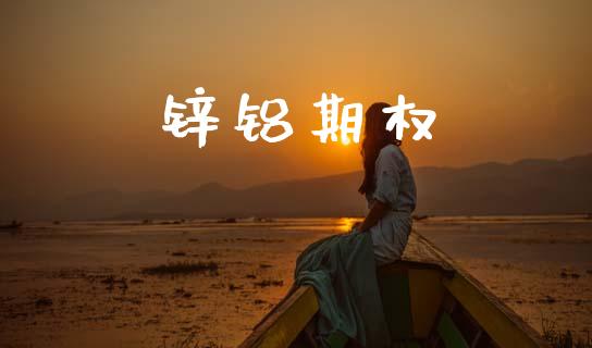 锌铝期权_https://wap.hpmsj.cn_基金分析_第1张