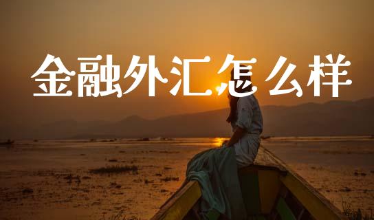 金融外汇怎么样_https://wap.hpmsj.cn_债券投资_第1张