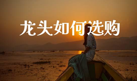 龙头如何选购_https://wap.hpmsj.cn_财经时评_第1张