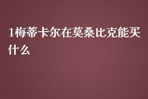 1梅蒂卡尔在莫桑比克能买什么_https://wap.hpmsj.cn_期货交易_第1张