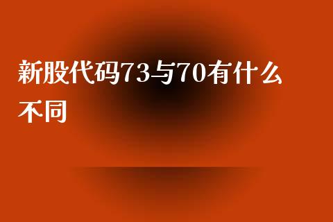 新股代码73与70有什么不同_https://wap.hpmsj.cn_债券投资_第1张