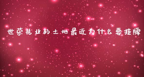 世荣兆业的土地最近为什么要挂牌_https://wap.hpmsj.cn_债券投资_第1张