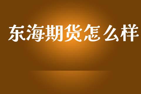 东海期货怎么样_https://wap.hpmsj.cn_债券投资_第1张