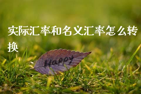 实际汇率和名义汇率怎么转换_https://wap.hpmsj.cn_外汇汇率_第1张