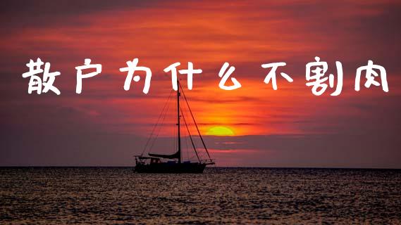 散户为什么不割肉_https://wap.hpmsj.cn_金融机构_第1张