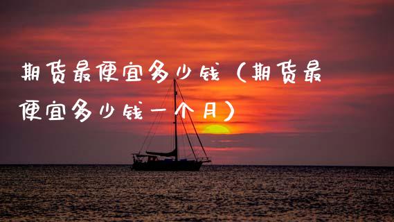 期货最便宜多少钱（期货最便宜多少钱一个月）_https://wap.hpmsj.cn_金融机构_第1张