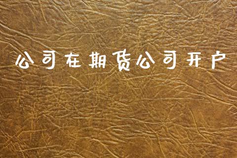 公司在期货公司开户_https://wap.hpmsj.cn_债券投资_第1张