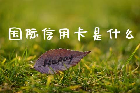 国际信用卡是什么_https://wap.hpmsj.cn_外汇汇率_第1张