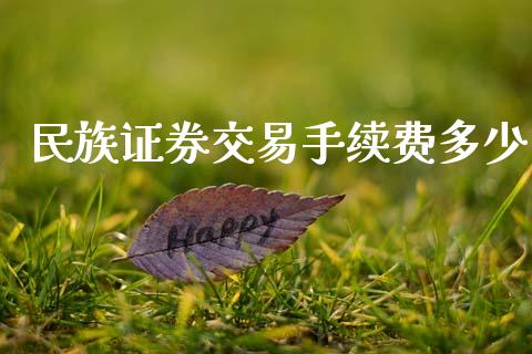 民族证券交易手续费多少_https://wap.hpmsj.cn_财经时评_第1张